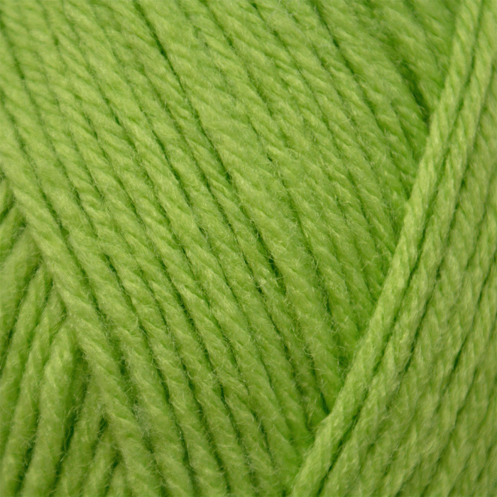 Emu Treasure DK Yarn Grass 507 50g main product photo