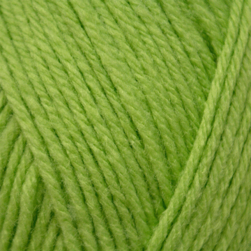 Emu Treasure DK Yarn Grass 507 50g