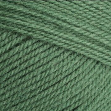 Stylecraft Special Aran with Wool Succulent 3980 400g